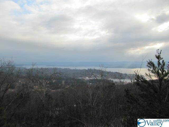 0 Baker Mountain Road - Photo 1 0 Baker Mountain Road - Photo 1