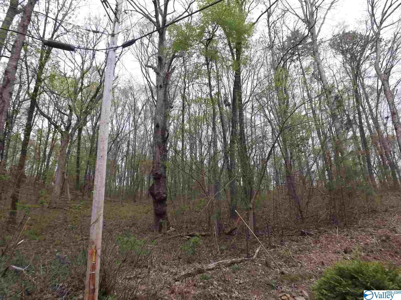 0 Hickory Hills Place - Photo 1