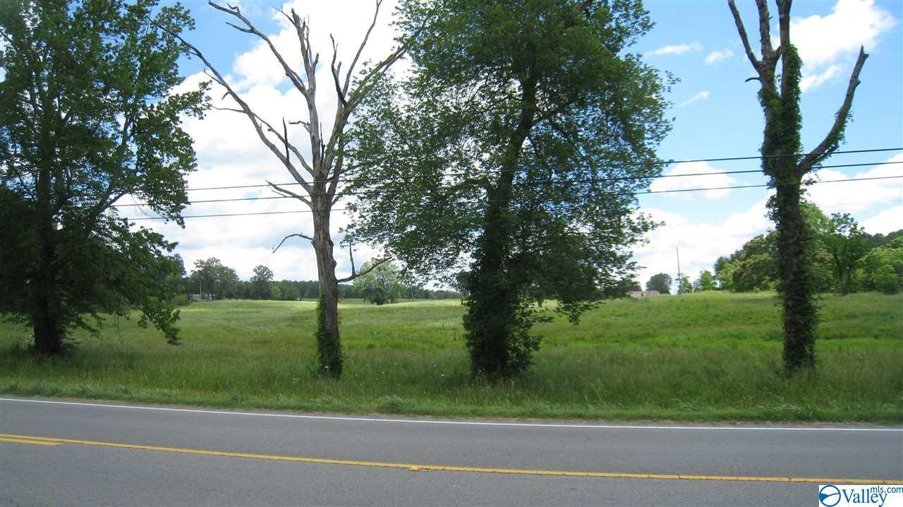 Alabama Hwy 75 - Photo 1