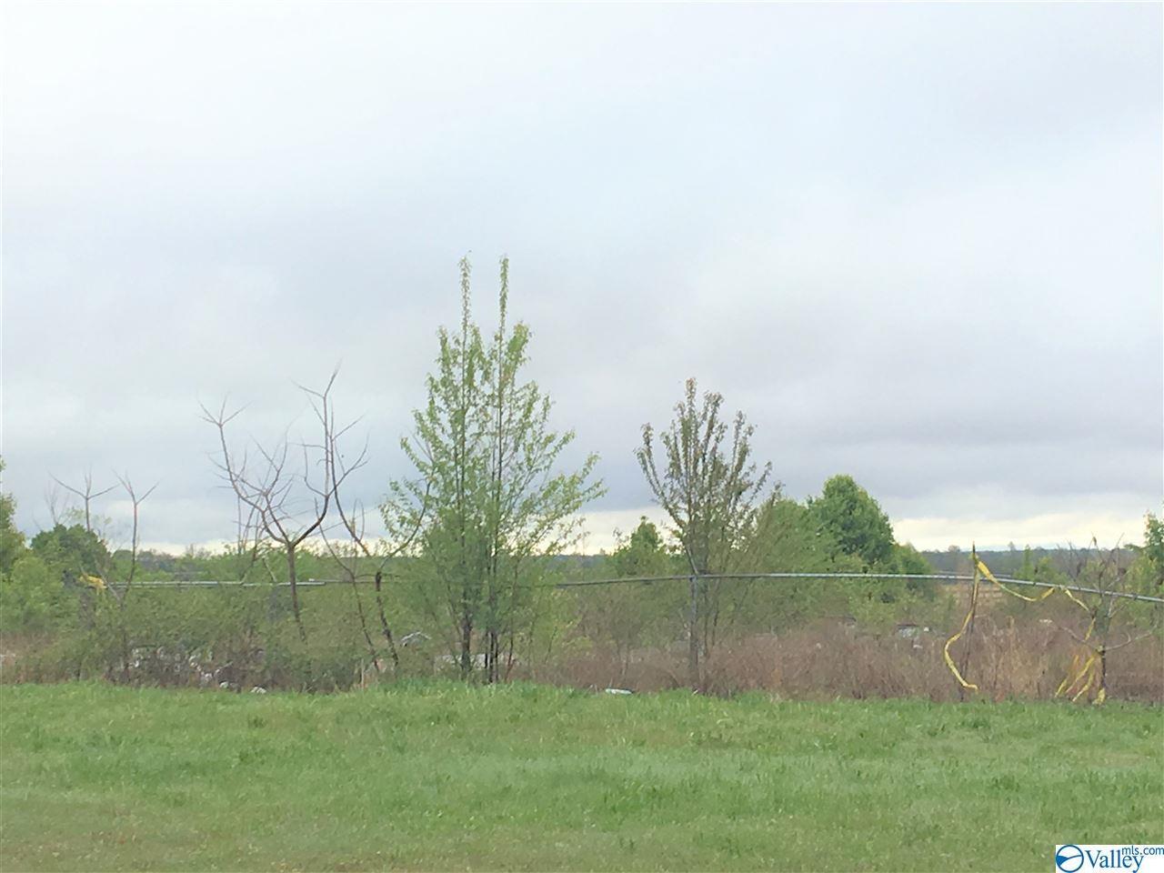 10998 Us Highway 31 - Photo 1