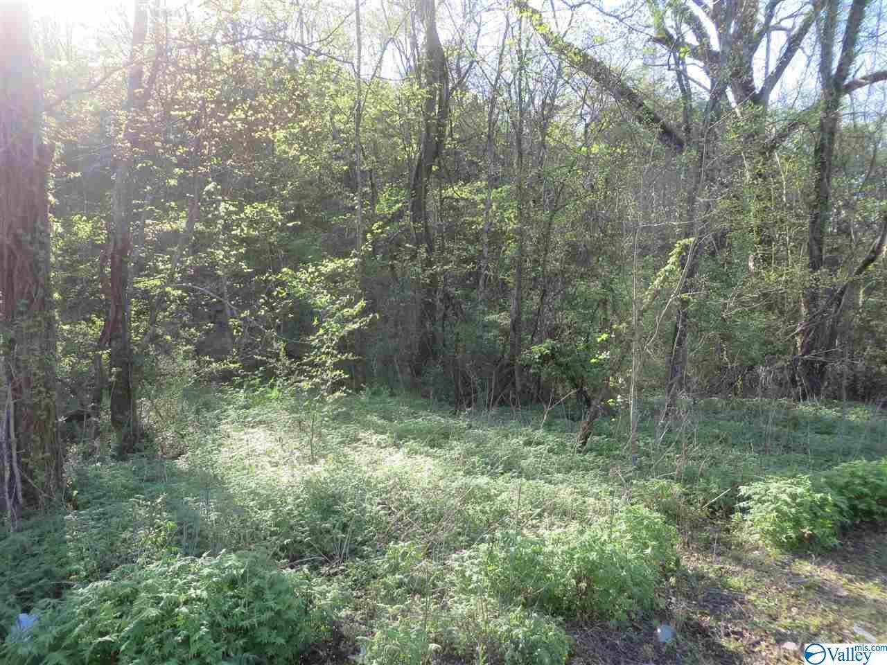 0 Whitetail Road - Photo 1