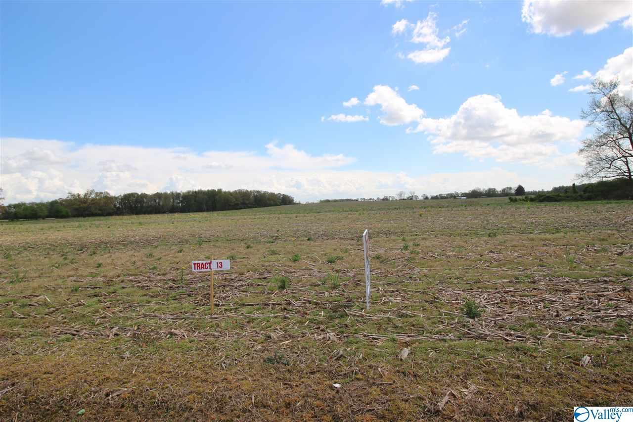 tract 12 Phillips Road - Photo 1
