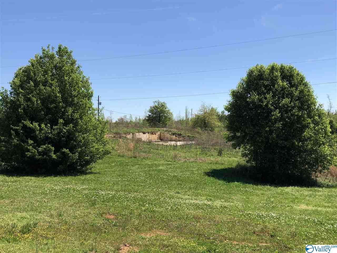 2211 Old Anniston Gadsden Hwy - Photo 1