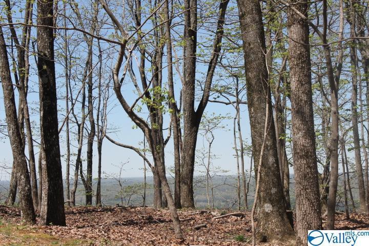 0000 County Road 89 - Photo 1