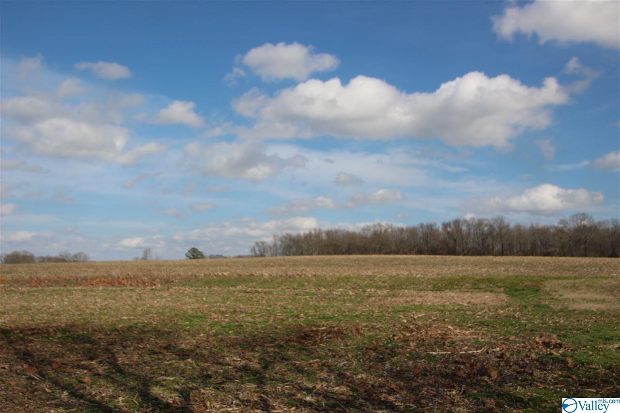 tract 6 Butler Road - Photo 1