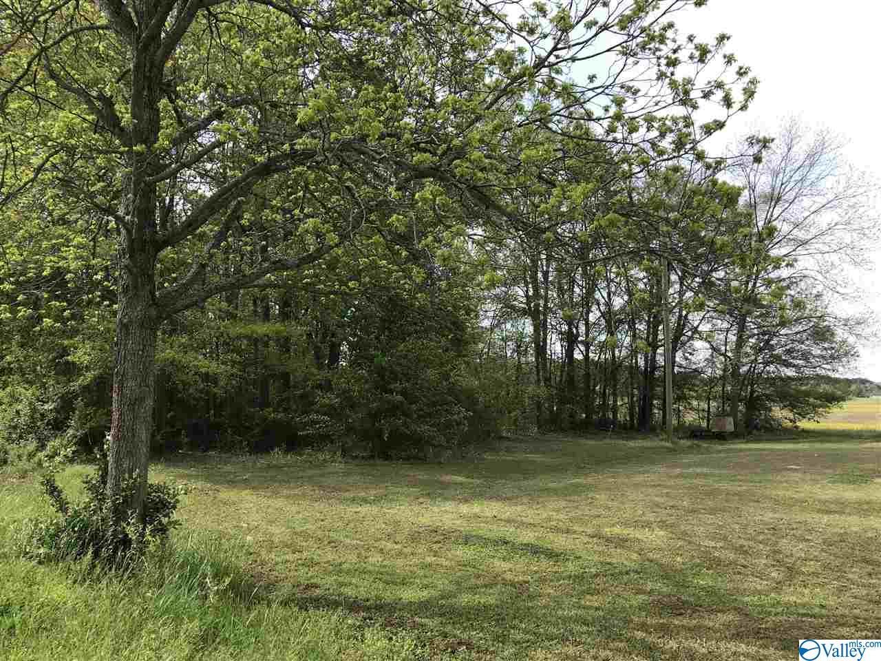 0 County Road 496 - Photo 1