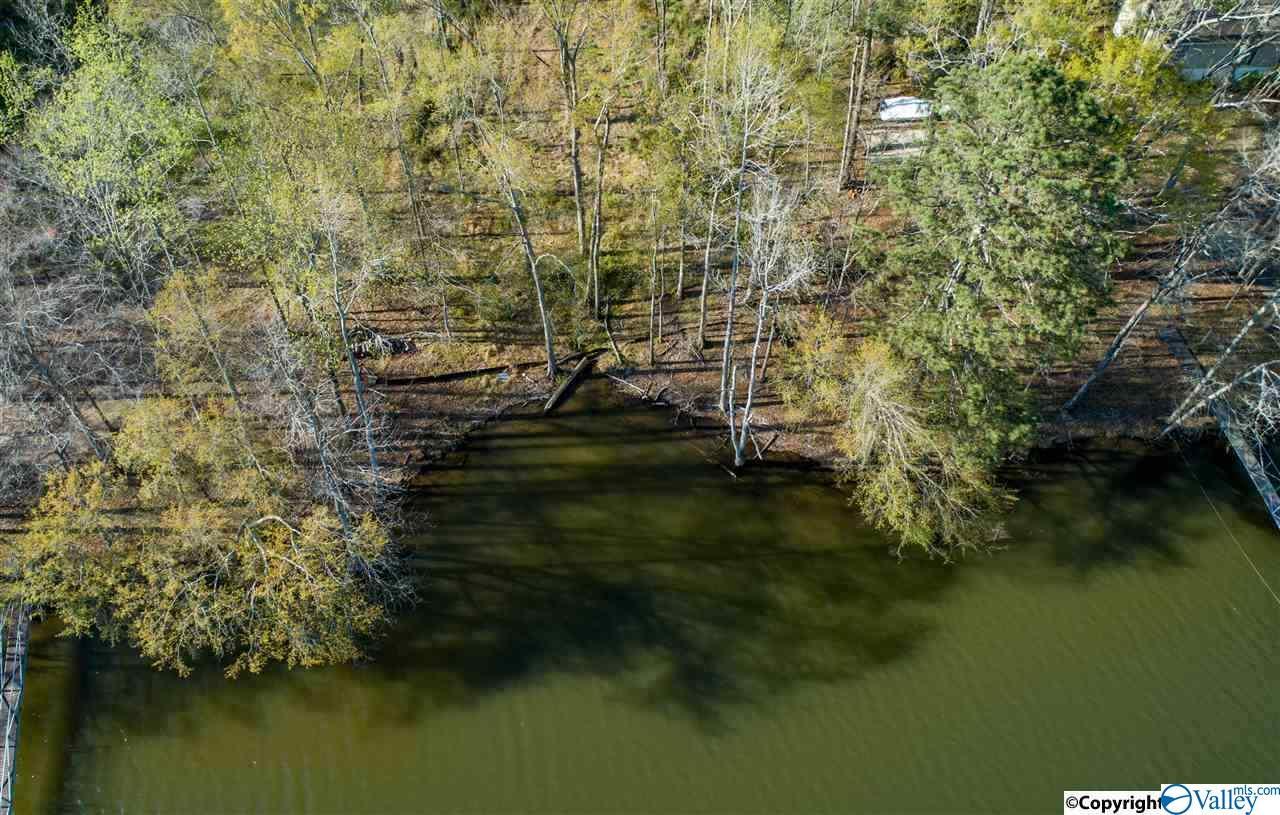 851 County Road 950 - Photo 1