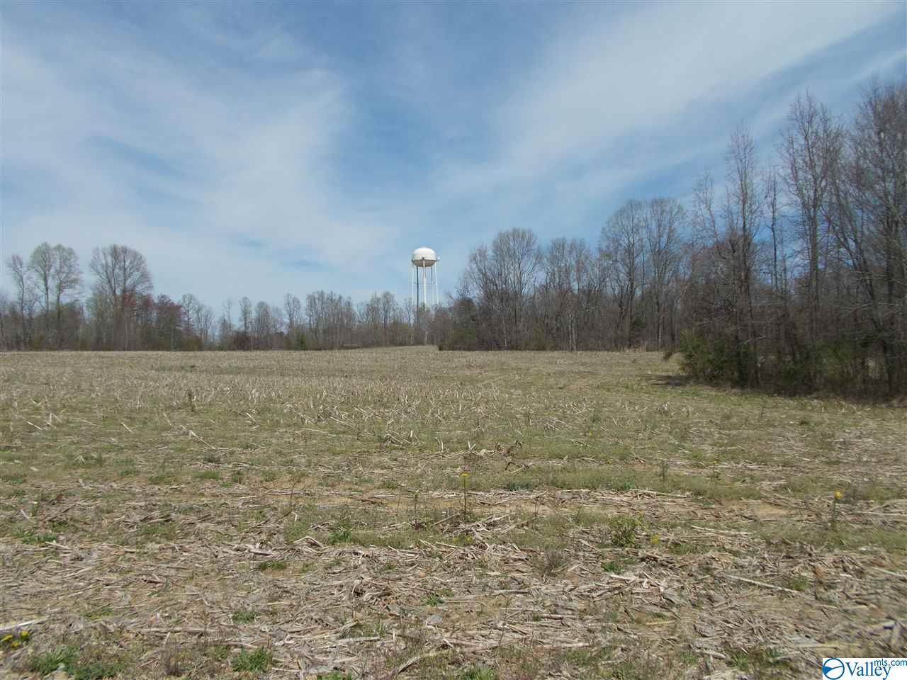 254 Pritchard Road - Photo 1
