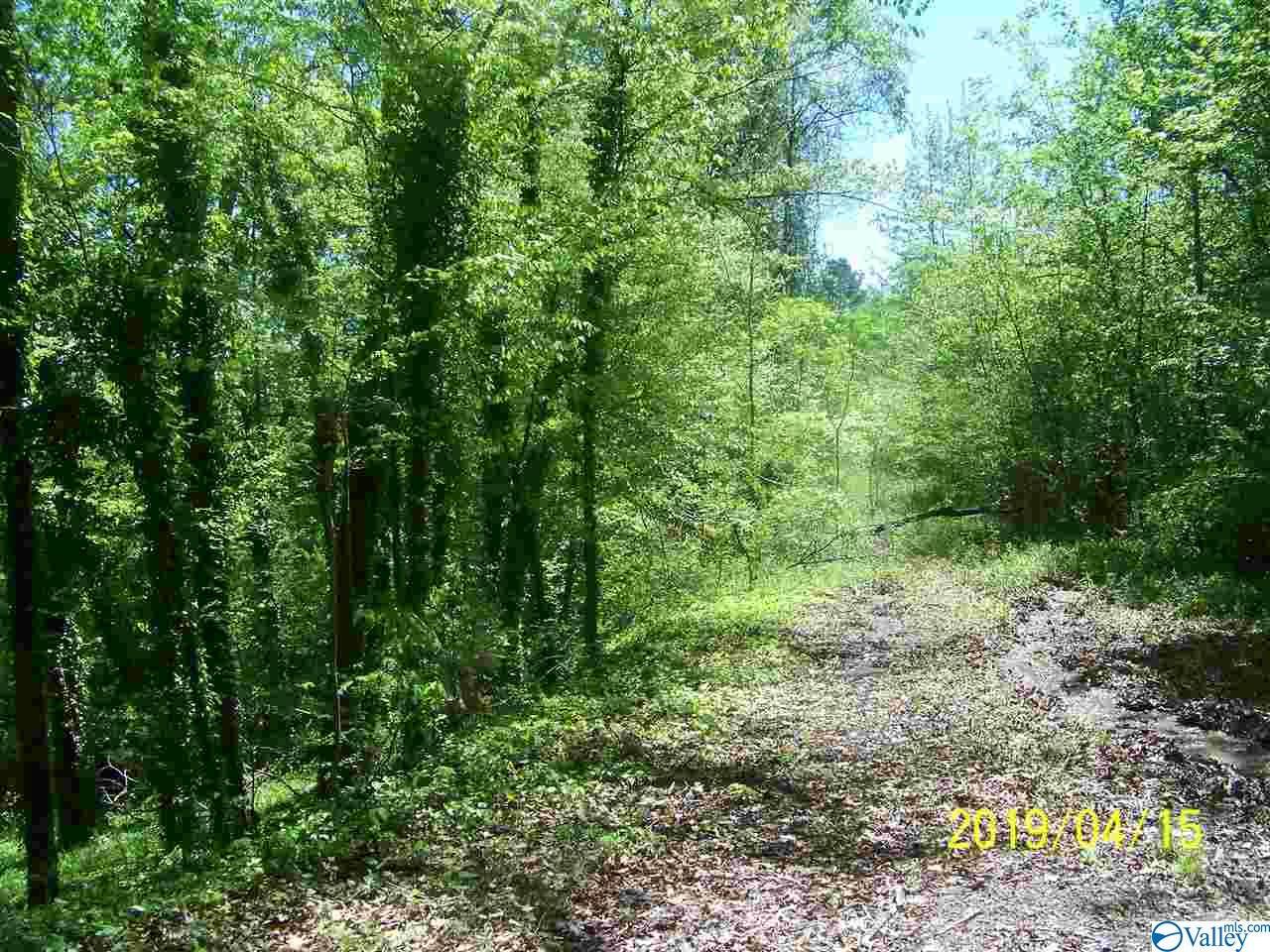 Clifford Drive - Photo 1