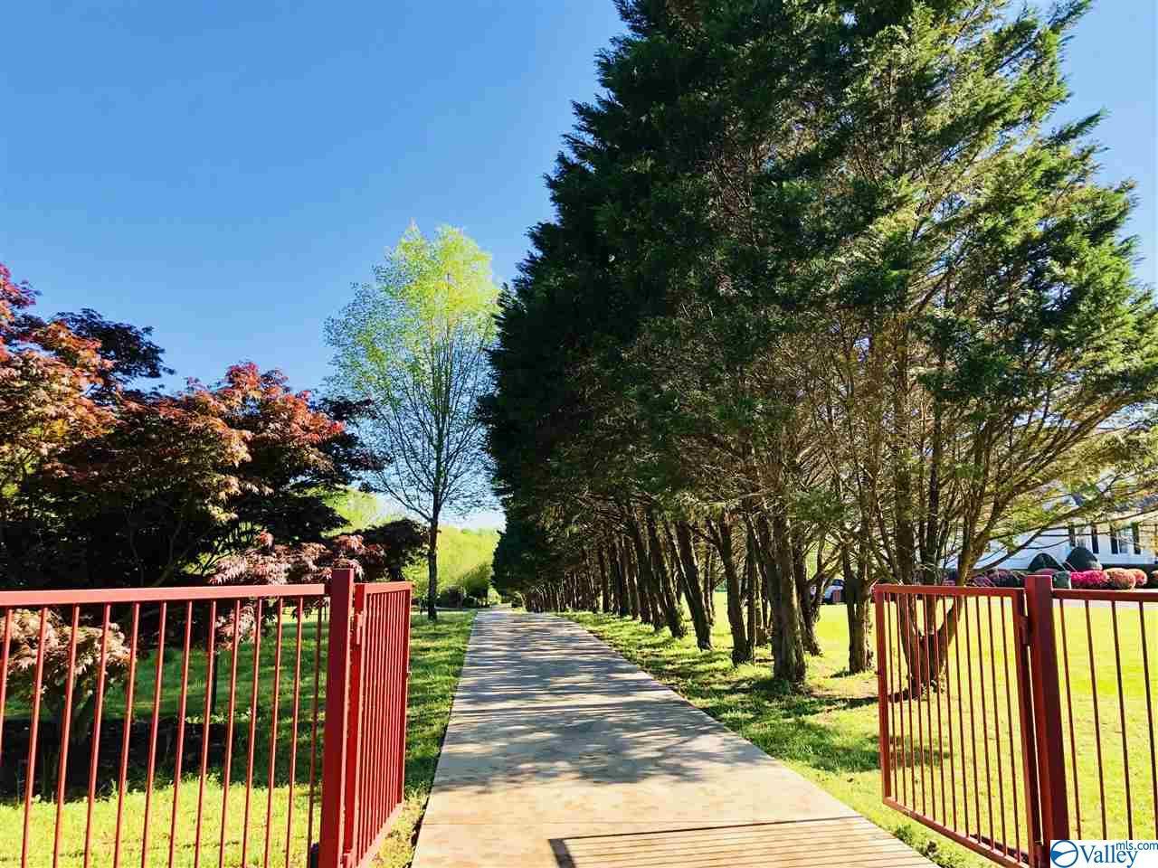 24488 Nick Davis Road - Photo 1