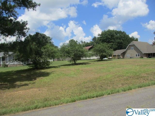 0 Fairway Drive - Photo 1