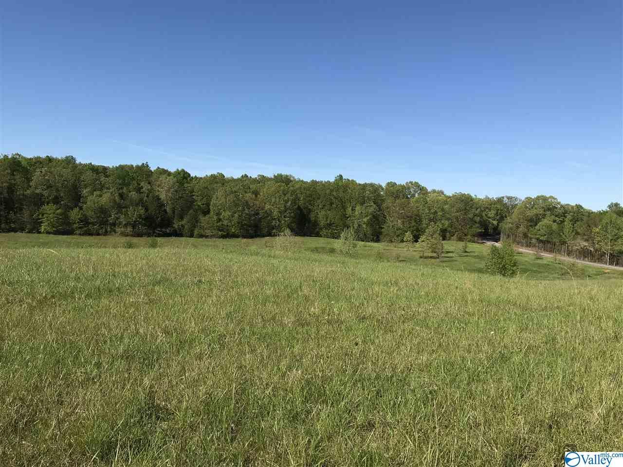 000 County Road 69 - Photo 1