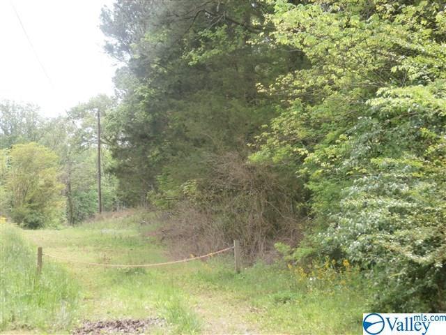 0 Rochell Drive - Photo 1