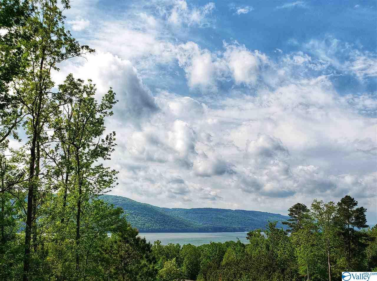 Lot 84 Monte Sano Drive - Photo 1
