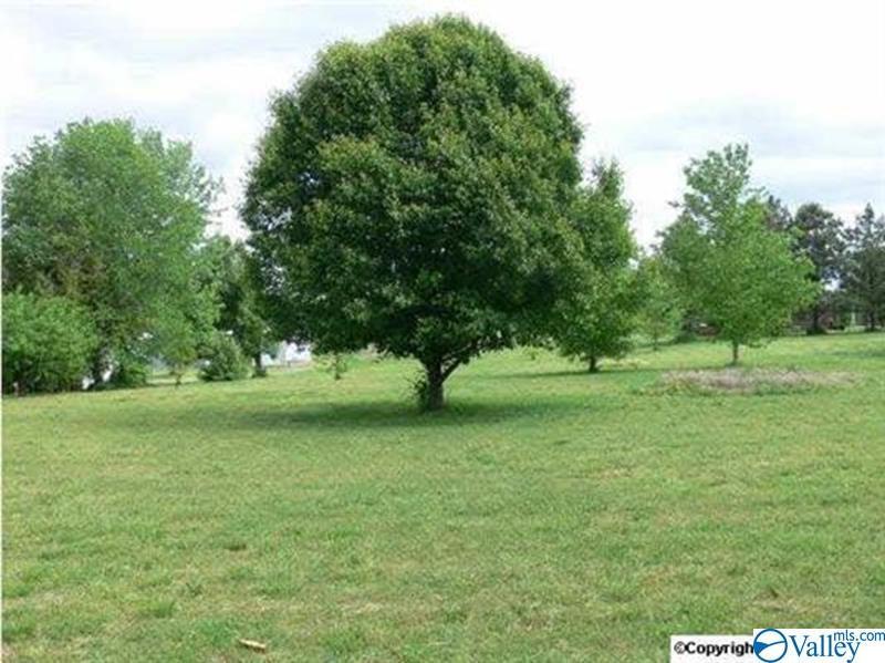 0 Smith Mill Road - Photo 1