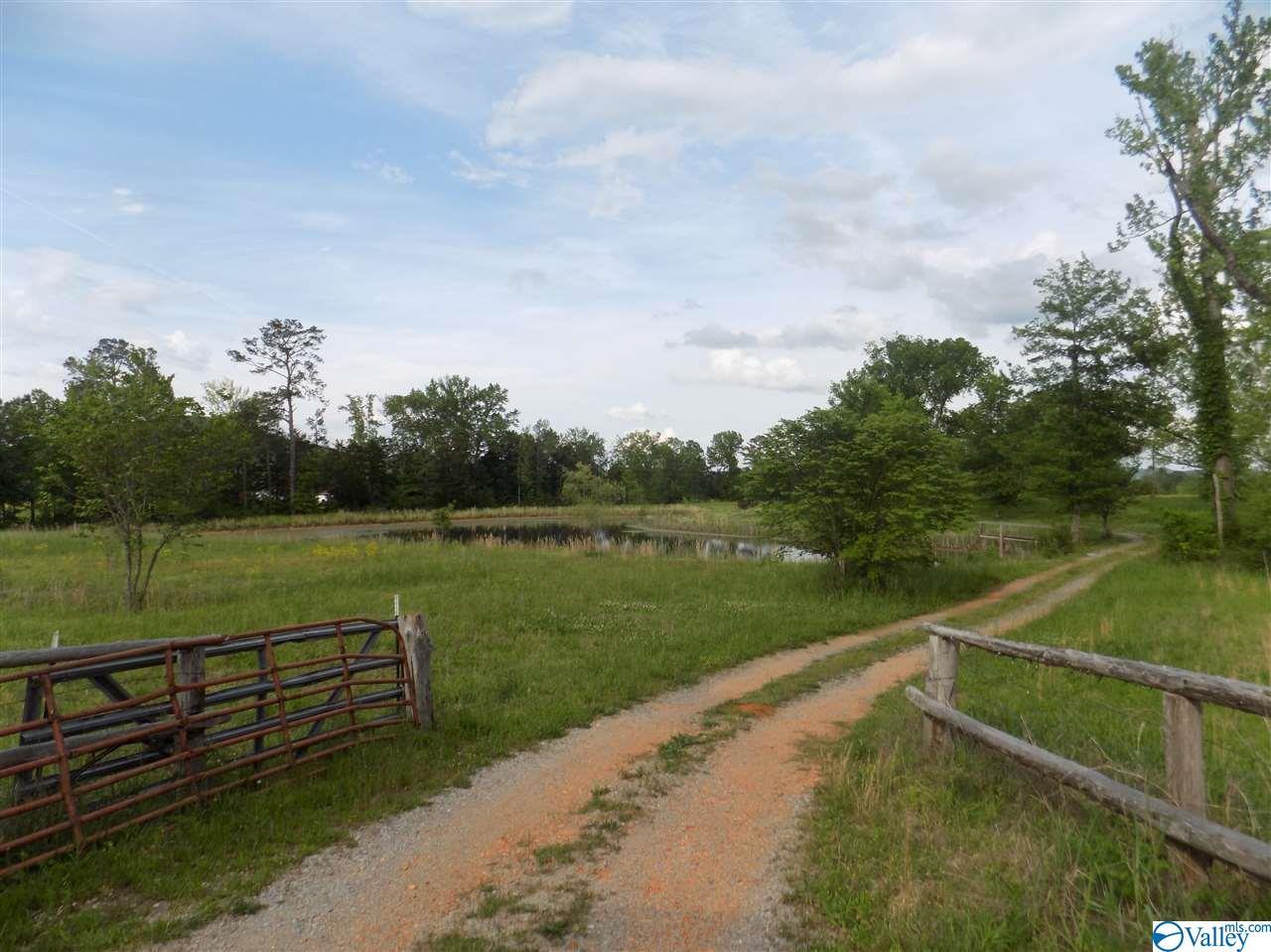 0 Six Mile Creek Road - Photo 1