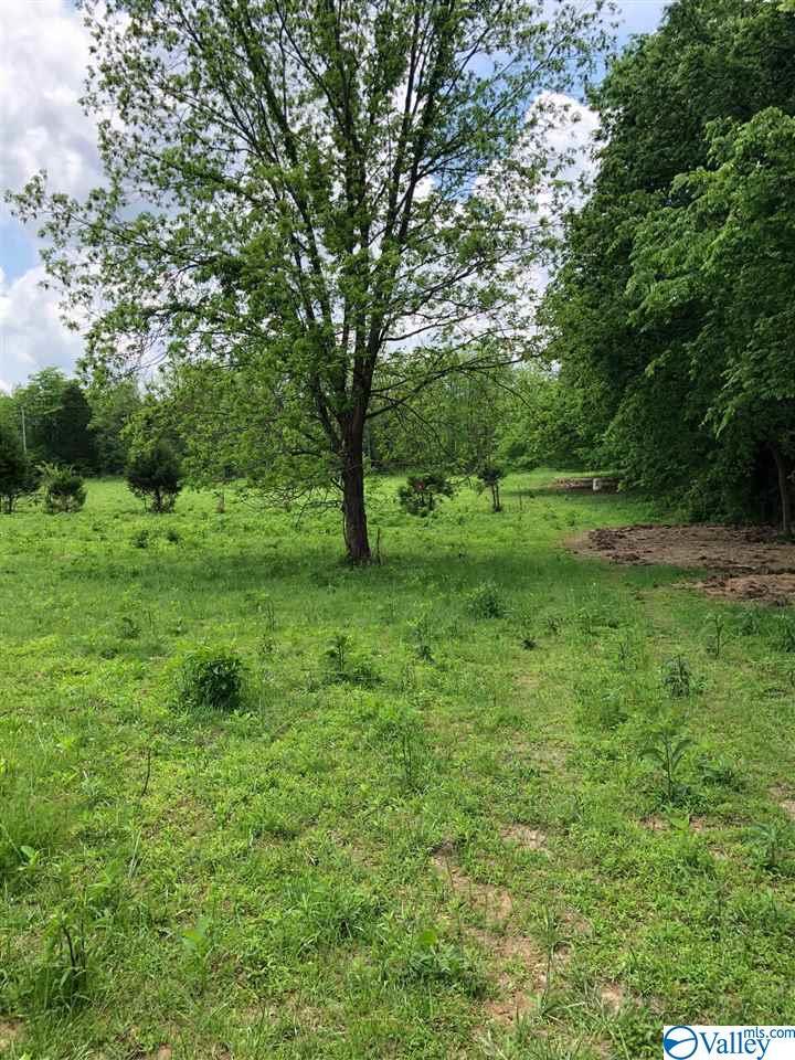 0 Hale Mountain Lane - Photo 1