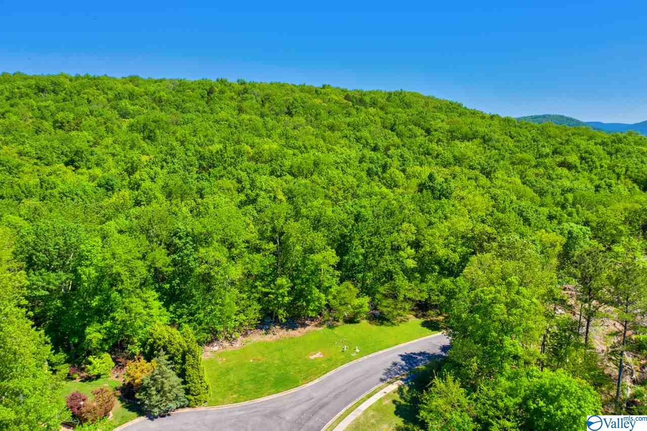 3117 Haver Hill Lane - Photo 1