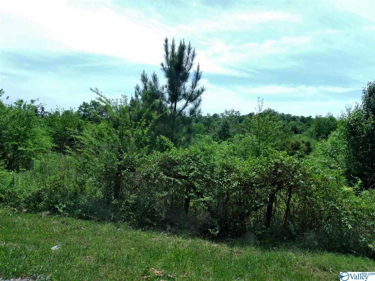 Ebell Road - Photo 1