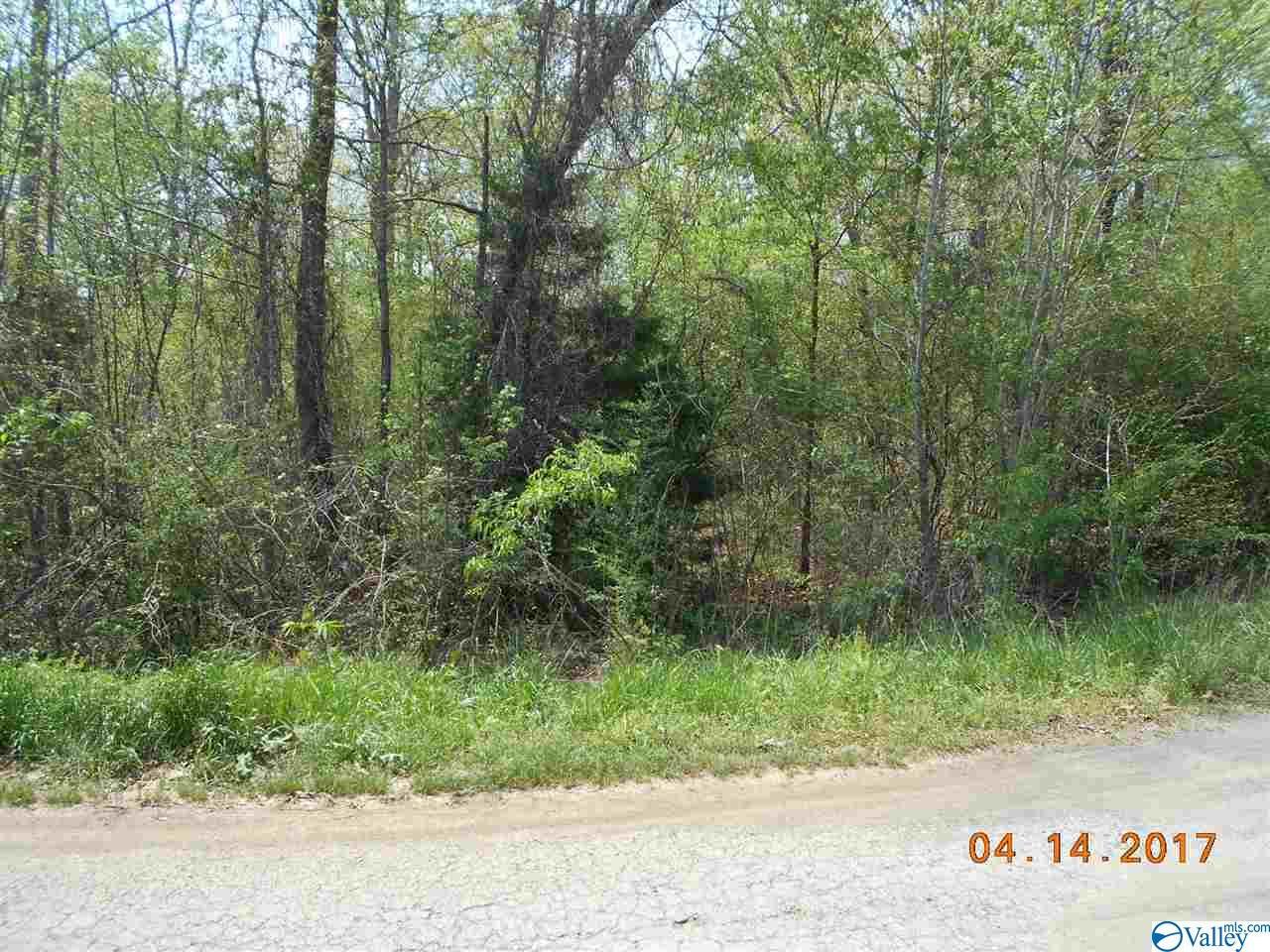 0 County Road 278 - Photo 1