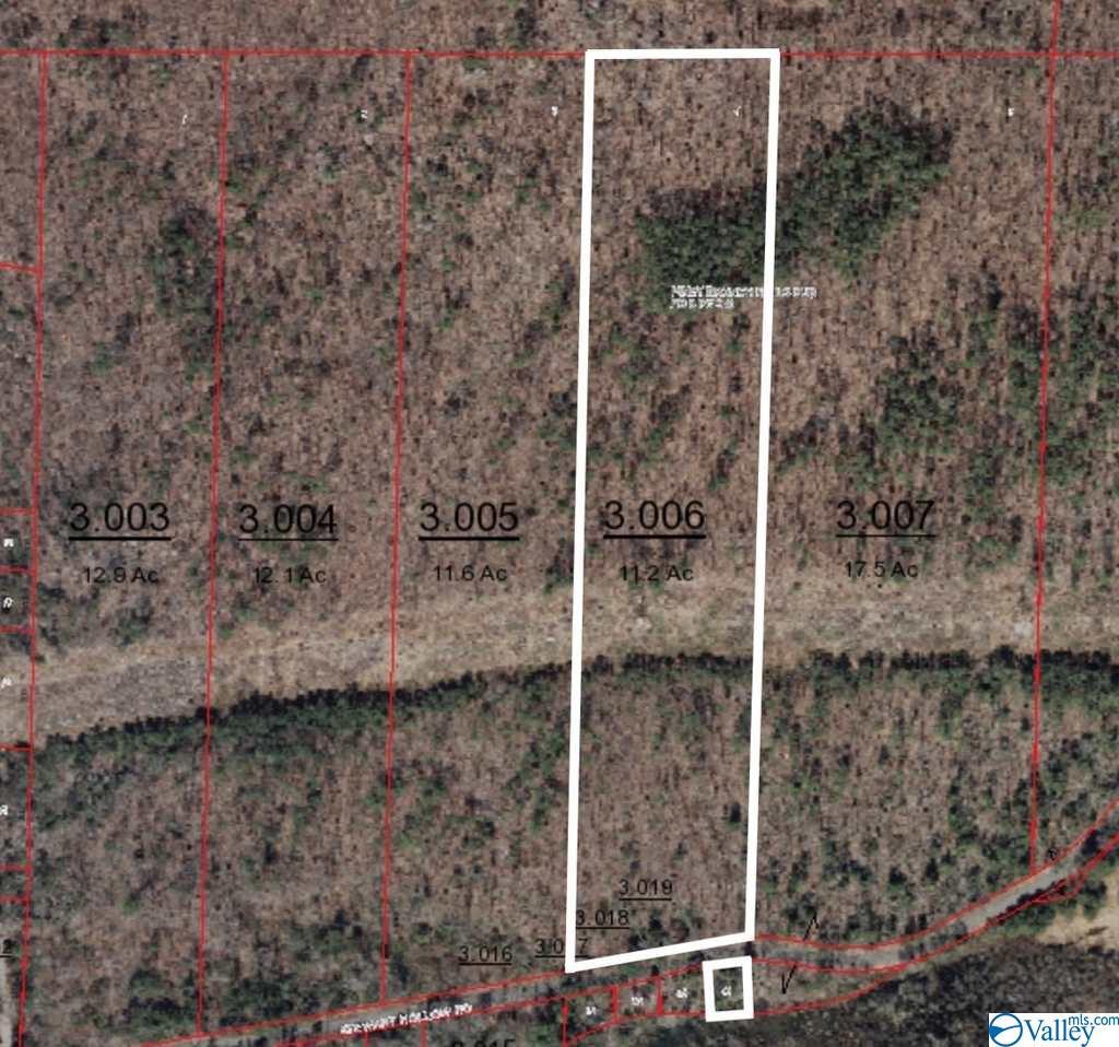Tract 4 Stewart Hollow Road - Photo 1
