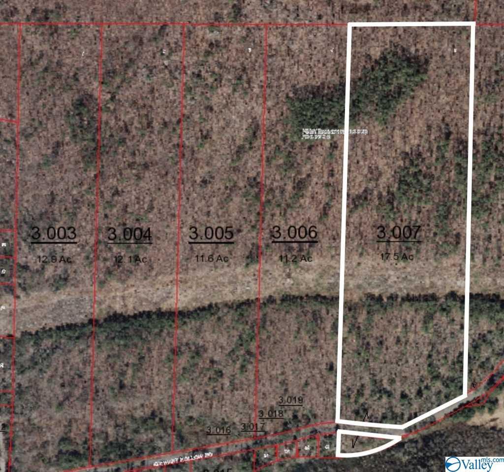 Tract 5 Stewart Hollow Road - Photo 1