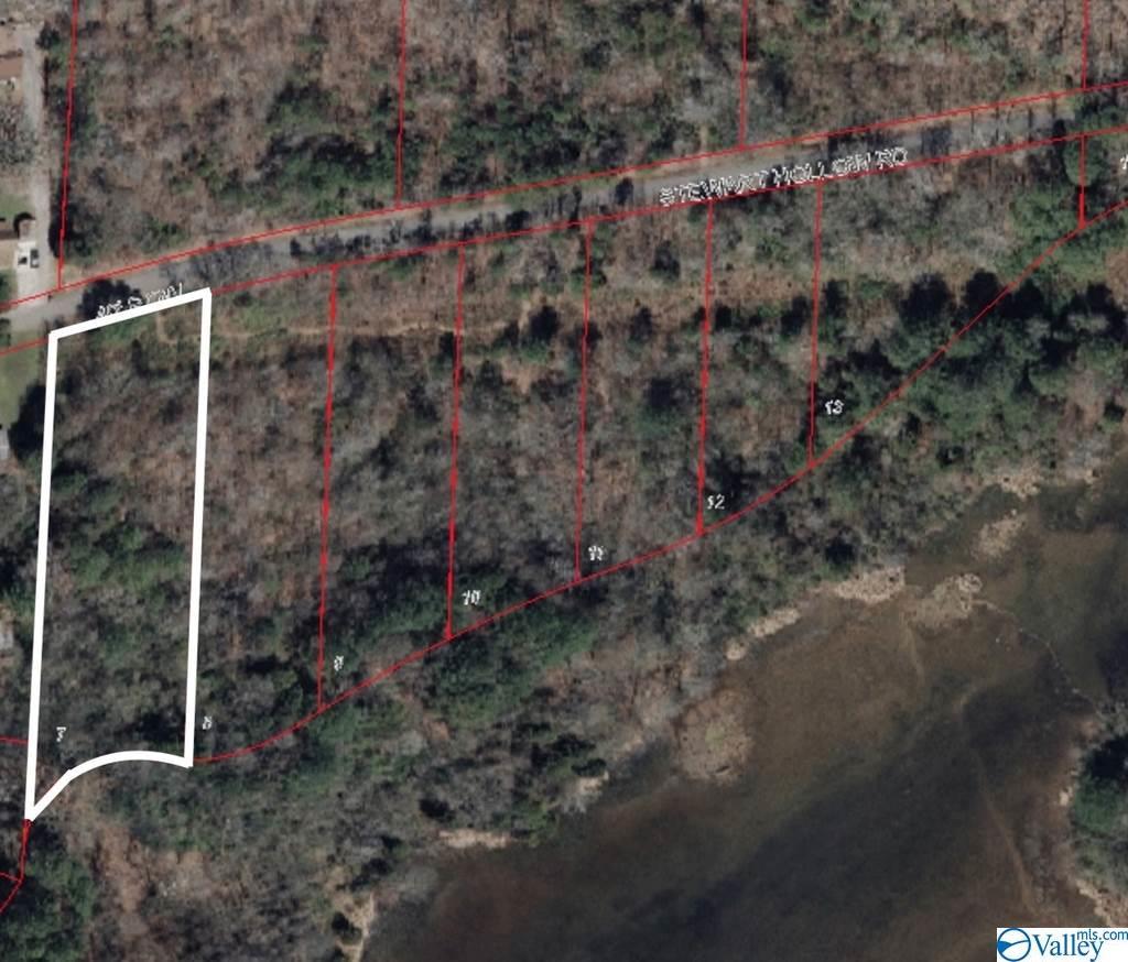 Tract 7 Stewart Hollow Road - Photo 1