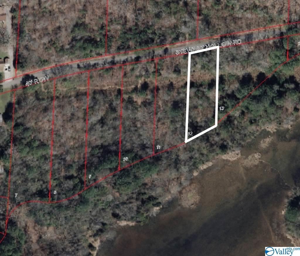 Tract 12 Stewart Hollow Road - Photo 1