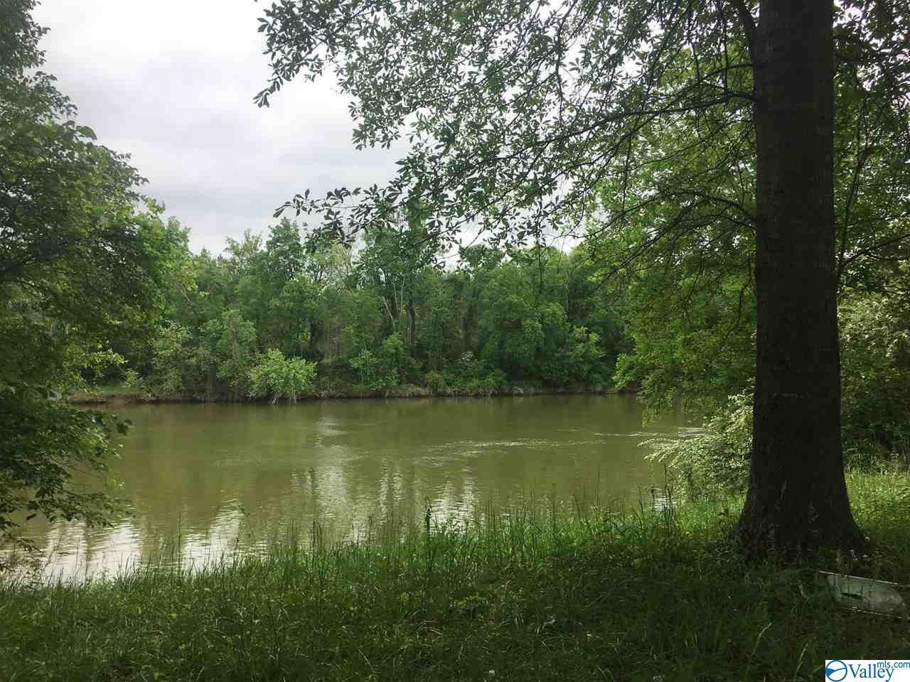 175 Blackberry Lane - Photo 1