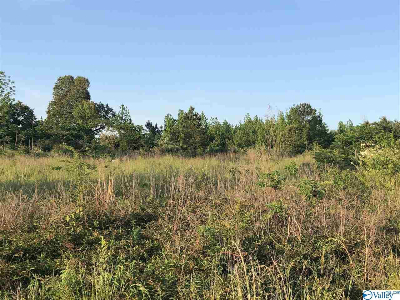 465 Smith Vasser Road - Photo 1
