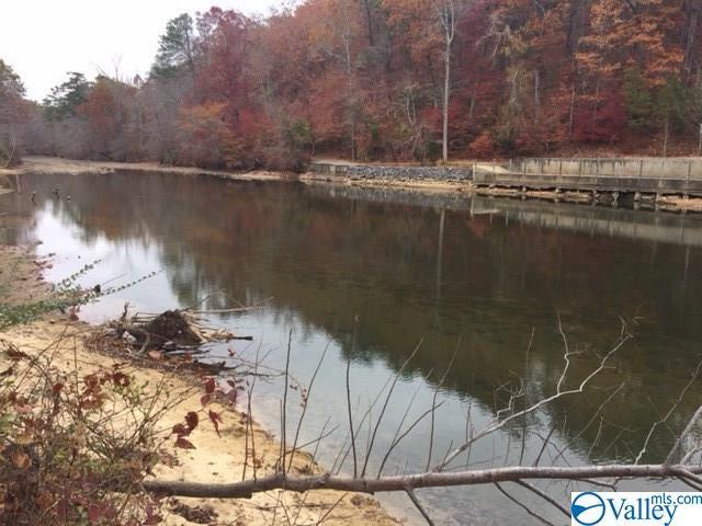 315 County Road 766 - Photo 1