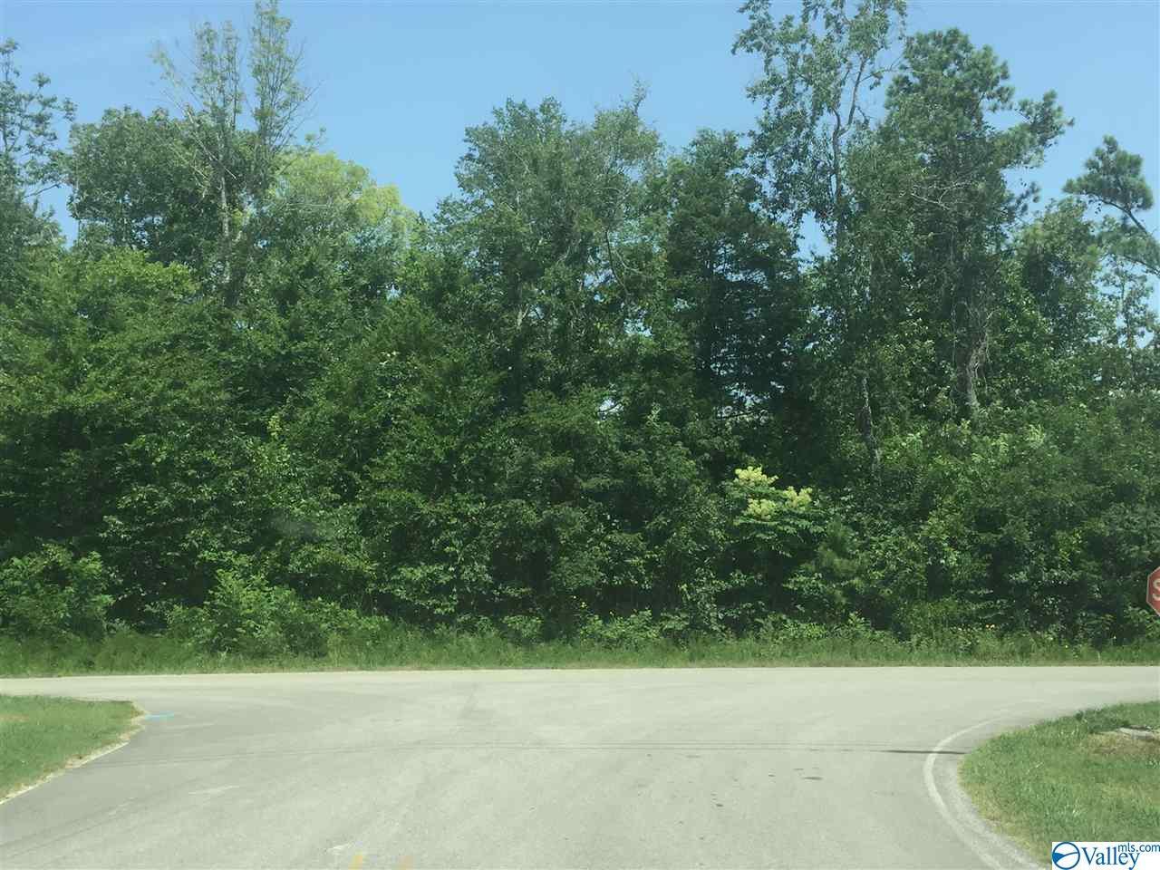0000 Bluff City Road - Photo 1