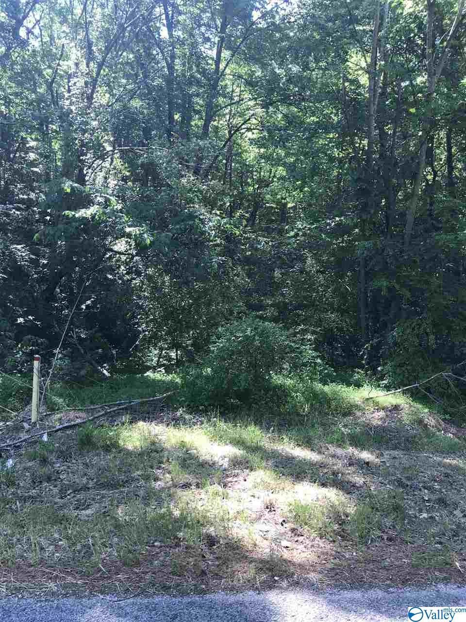 0 Fords Valley Road - Photo 1