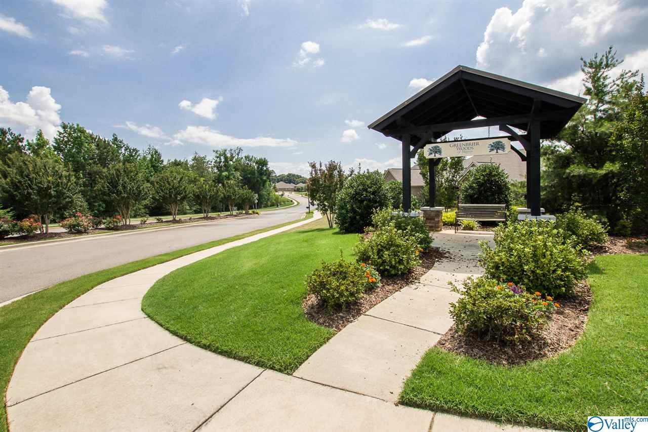 100 Autumn Ashe Road - Photo 1