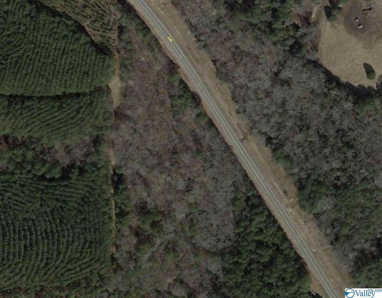 0000 Al Highway 35 - Photo 1 0000 Al Highway 35 - Photo 1