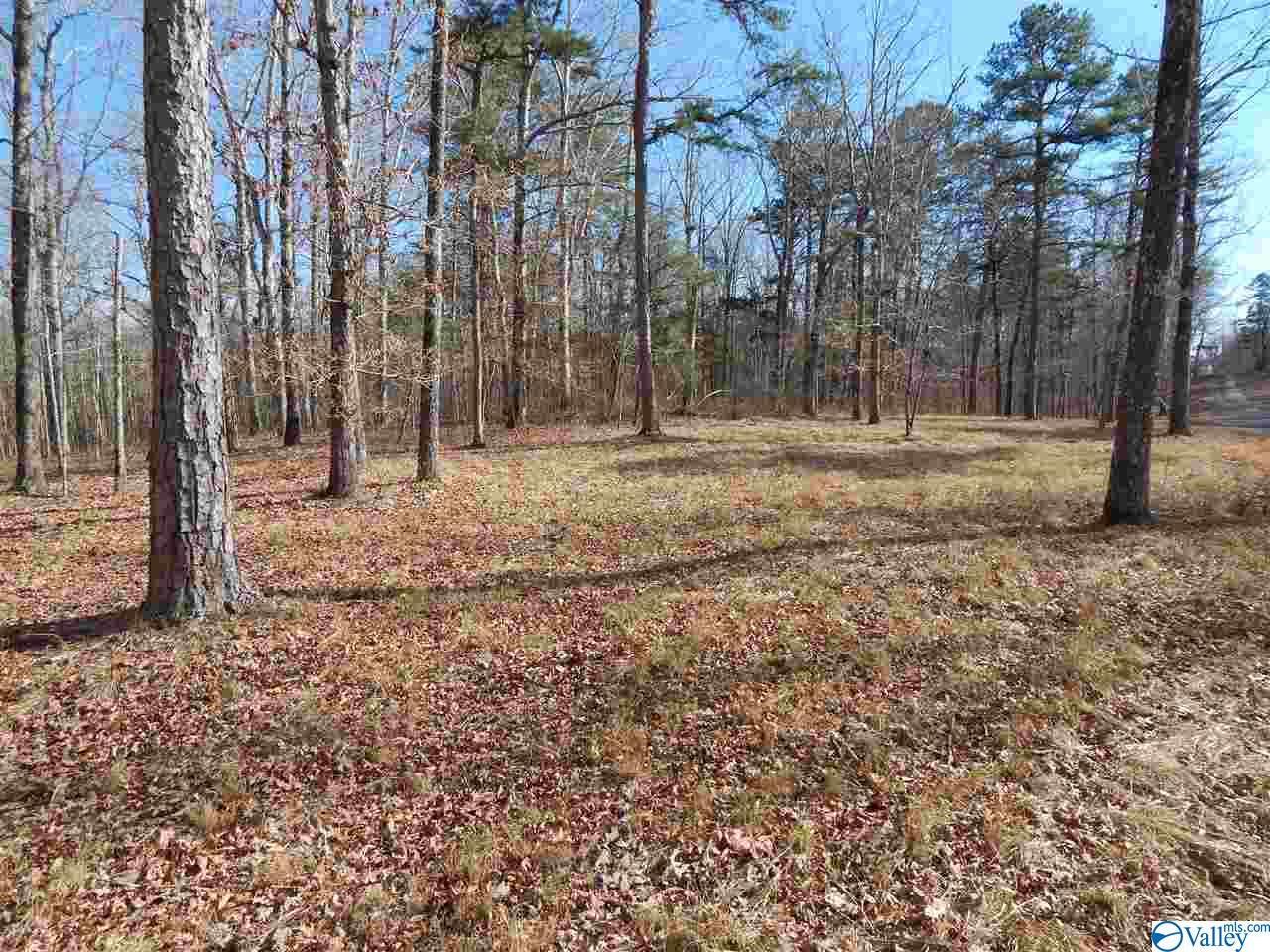lot 3 Road 935 - Photo 1