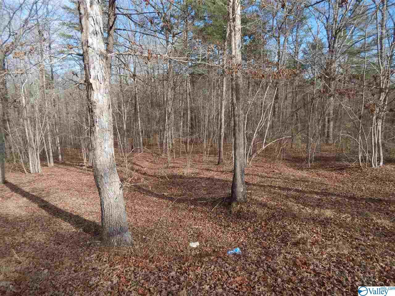 LOT 4 Road 935 - Photo 1