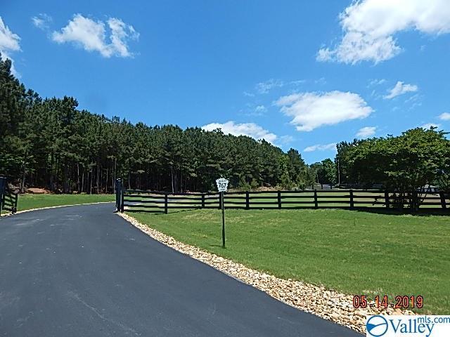 Lot 9 County Road 767 - Photo 1