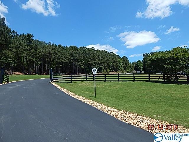 Lt 32 County Road 767 - Photo 1