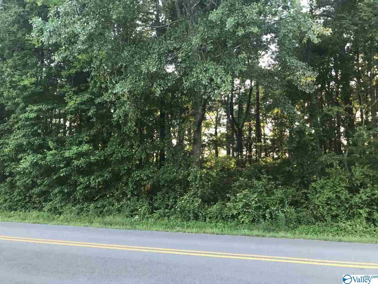 0 Smalley Drive - Photo 1