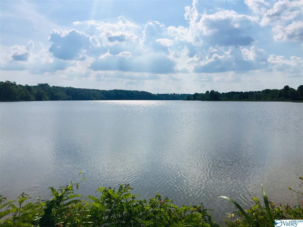 188 County Road 255 - Photo 1