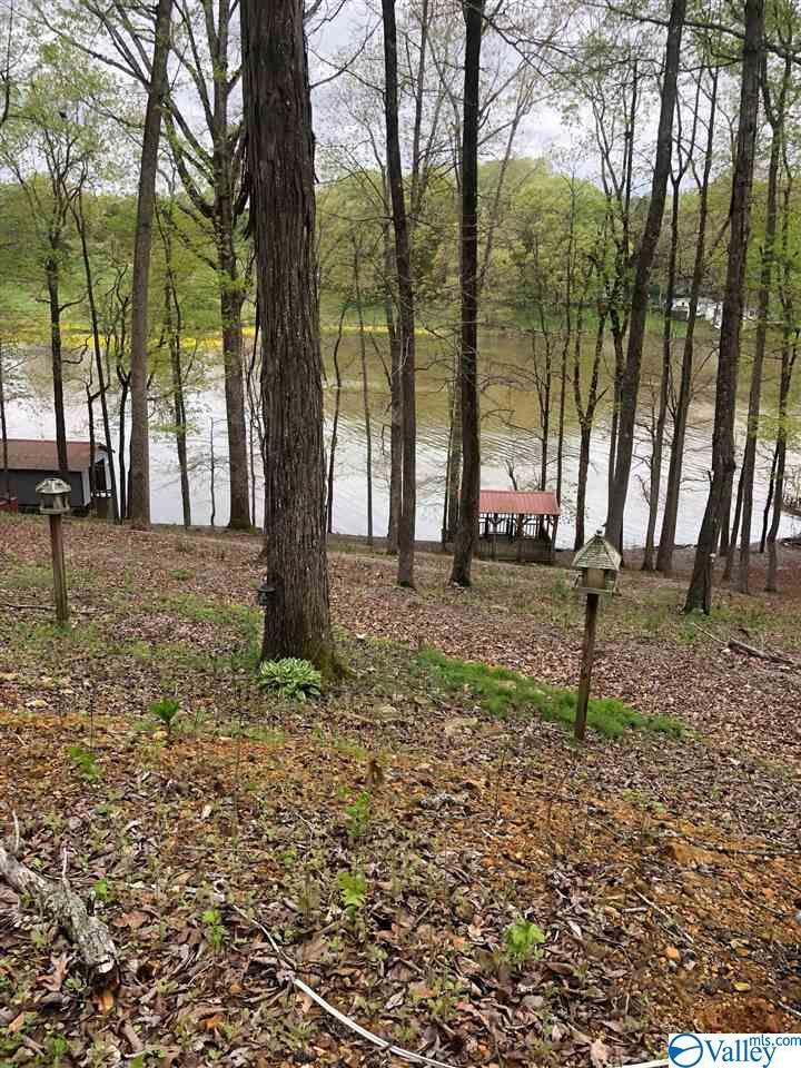 6433 Casteel Lane - Photo 1
