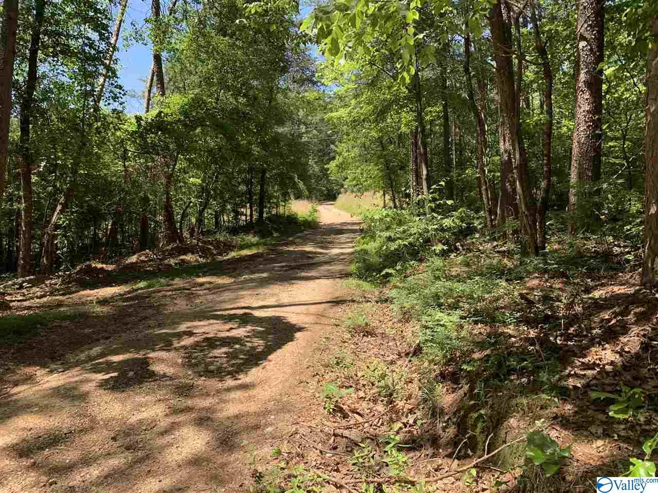 Lot 8, BLK C County Road 387 - Photo 1