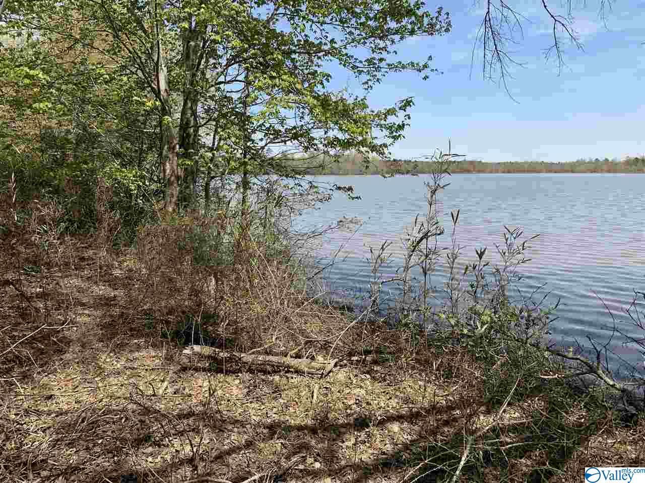 Lot 14 County Road 803 - Photo 1
