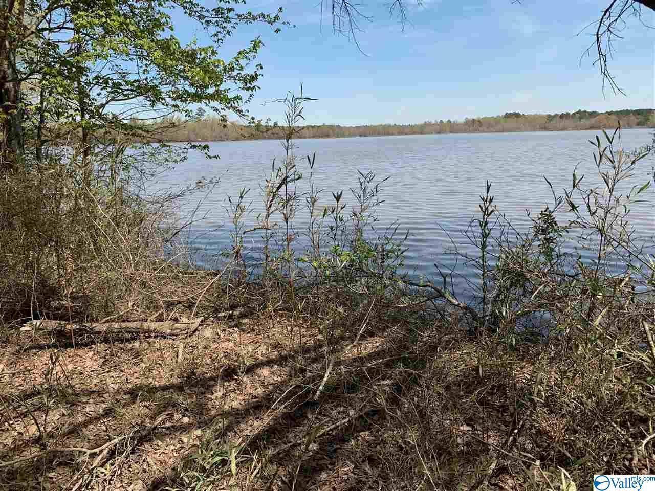 Lot 15 County Road 308 - Photo 1