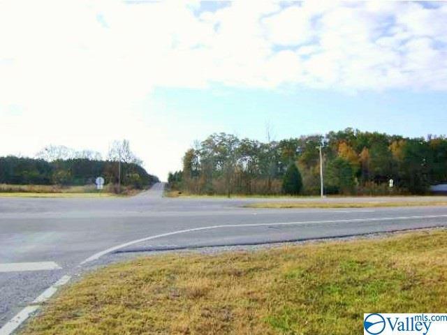 0 Alabama Highway 24 - Photo 1