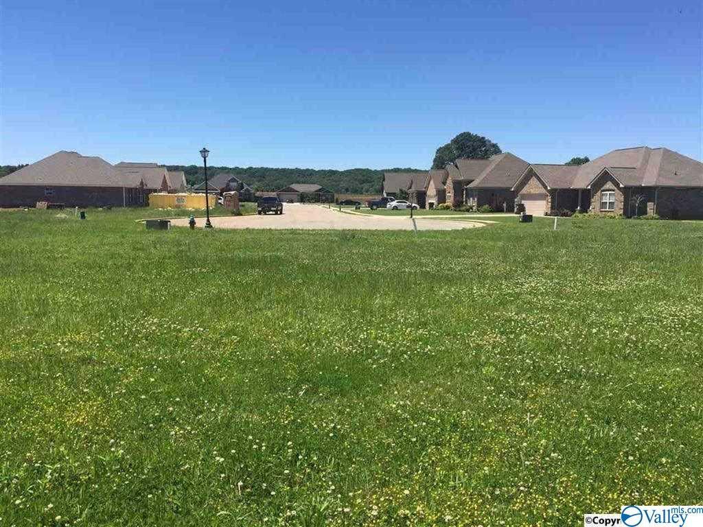 56 Abington Drive - Photo 1