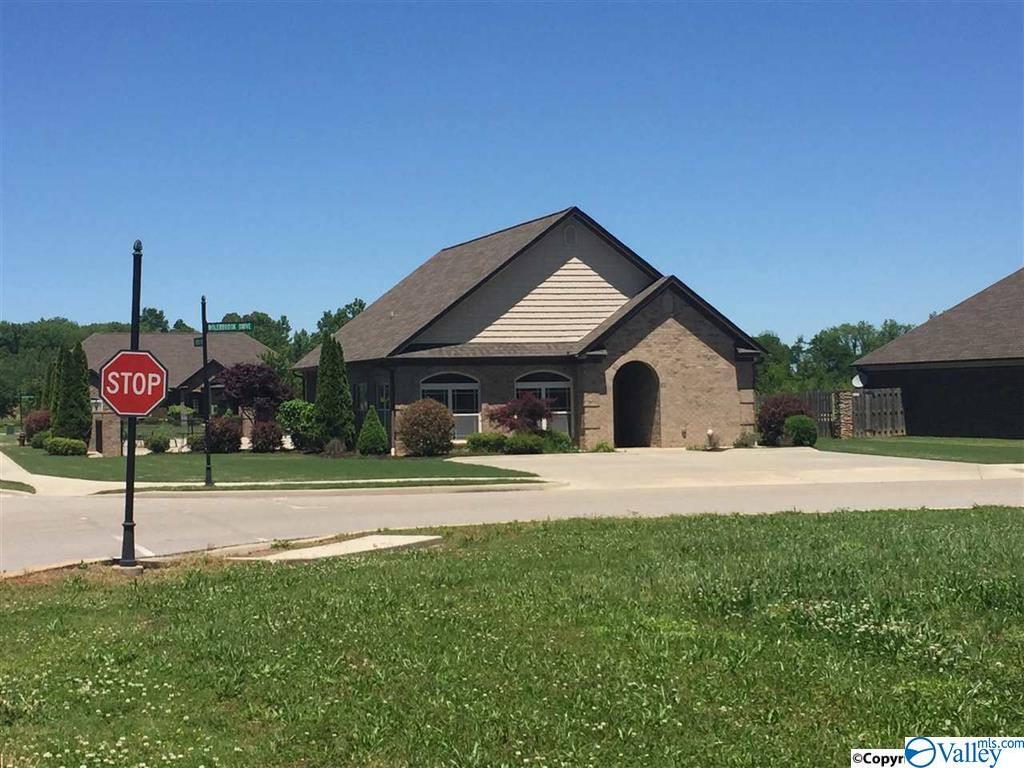 0 Owensby Way - Photo 1