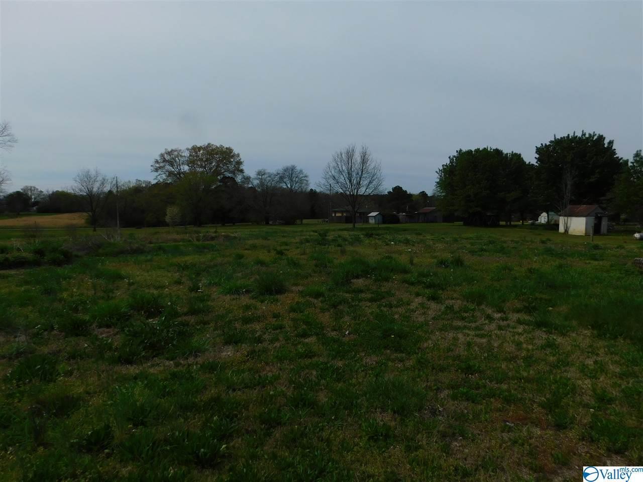 0 Washington Avenue - Photo 1