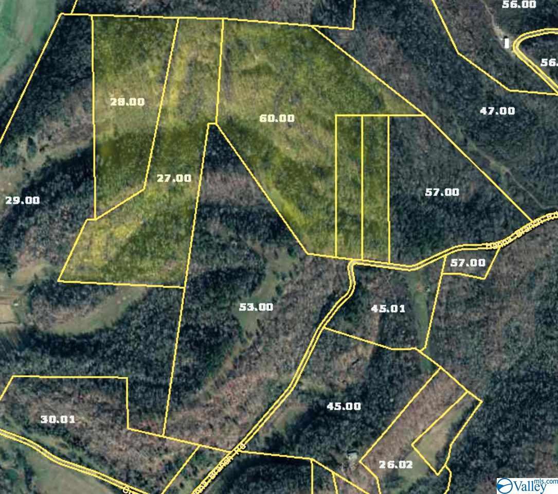 Hanna Branch Road - Photo 1